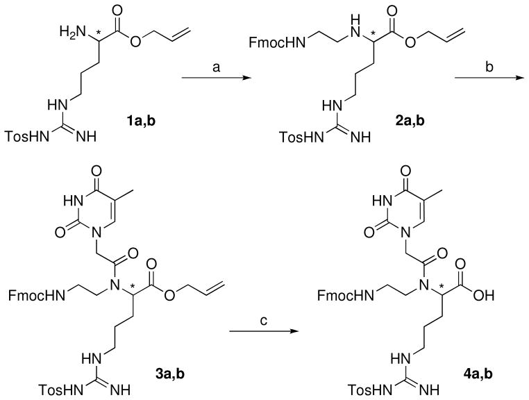 Scheme 1