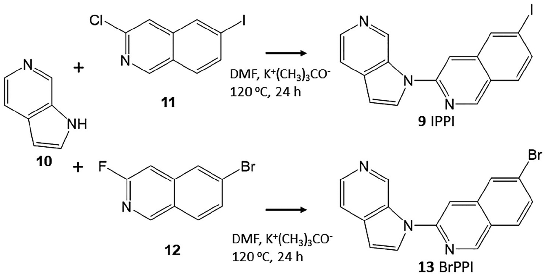 FIGURE 3