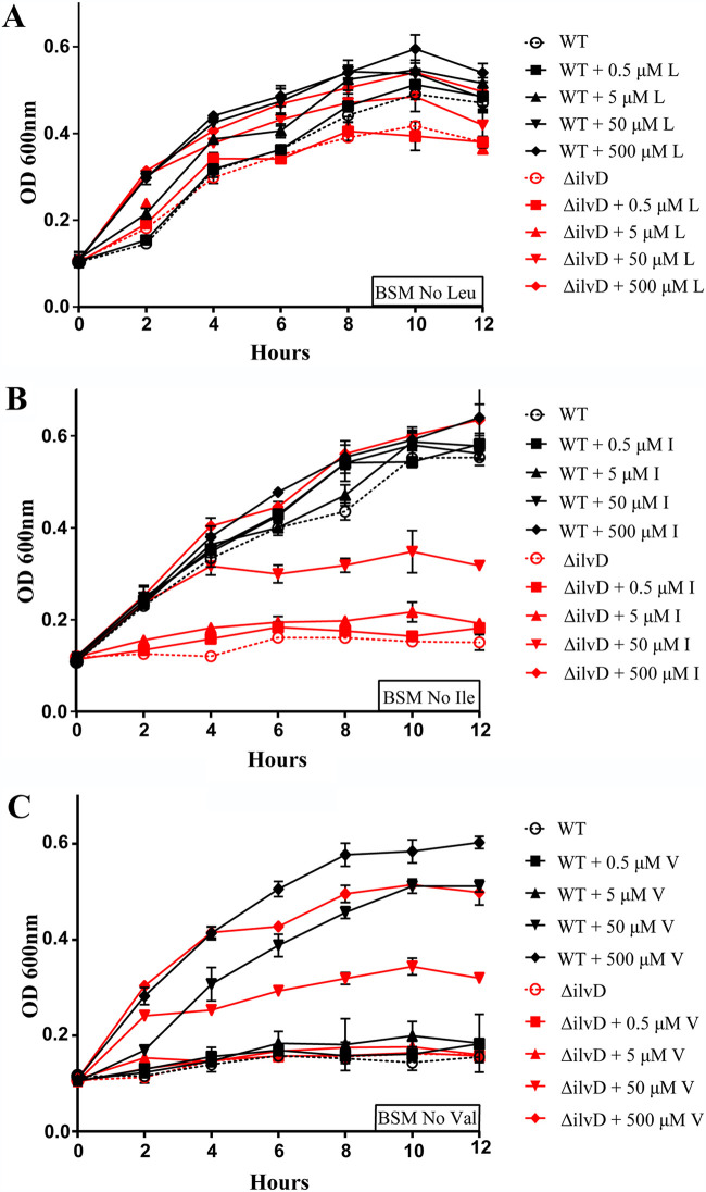 FIG 2