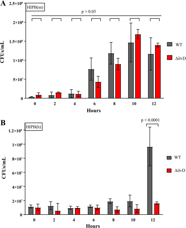 FIG 6