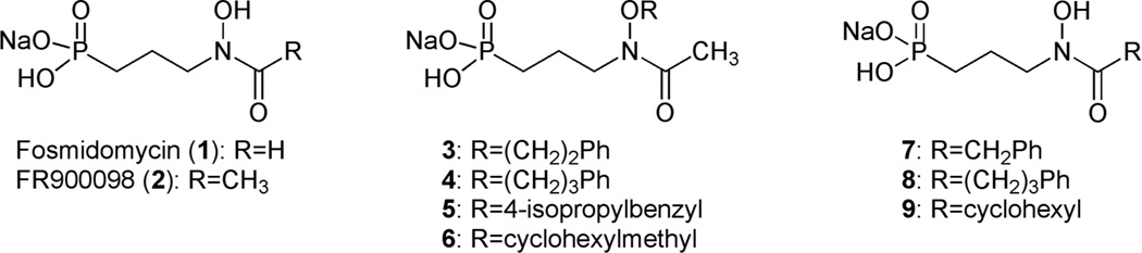 Fig. 2