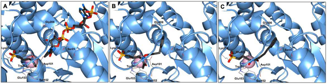 Fig. 3