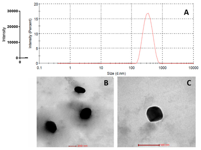 Figure 7