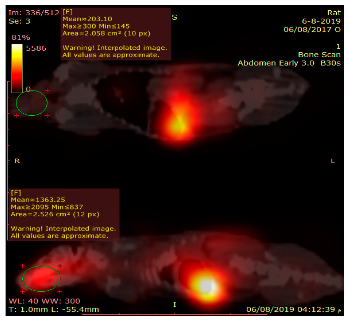 Figure 10