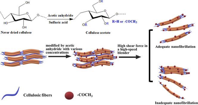 graphic file with name ao3c02178_0010.jpg