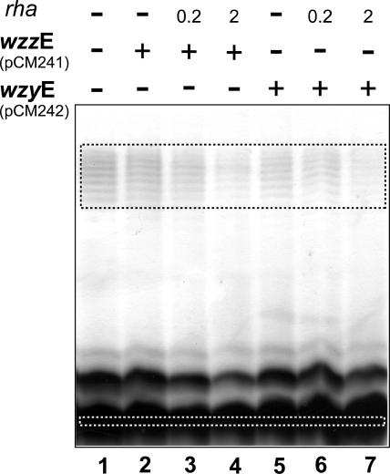 FIG. 6.