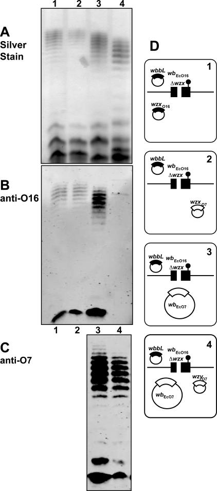 FIG. 9.