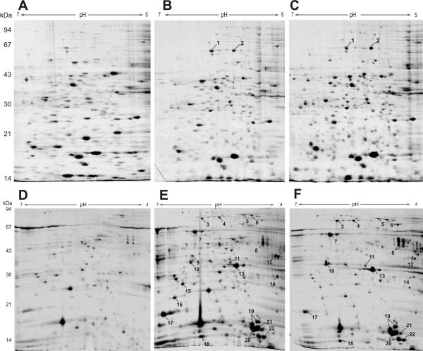 FIG. 3.