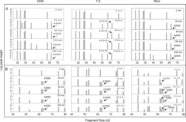 FIG. 7.