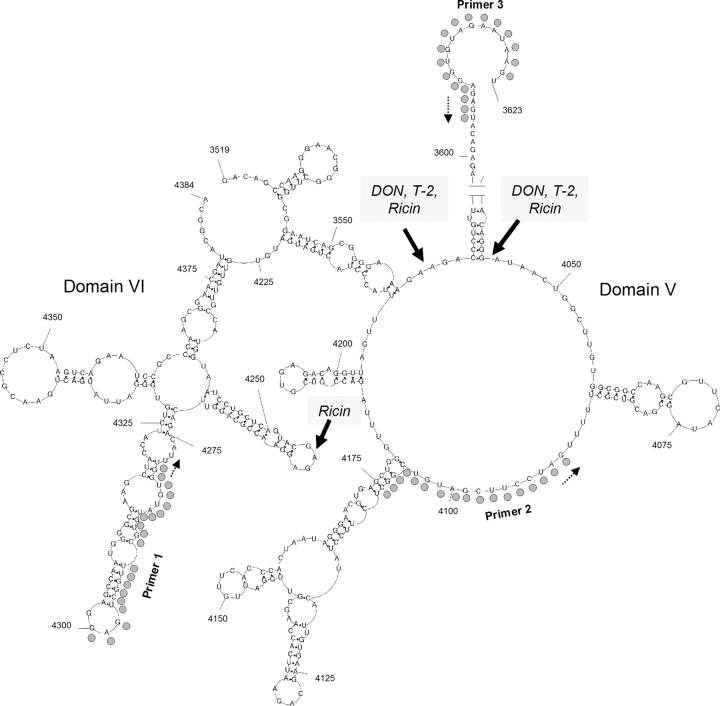 FIG. 6.