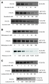 Fig 3.