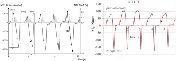 Fig. 10