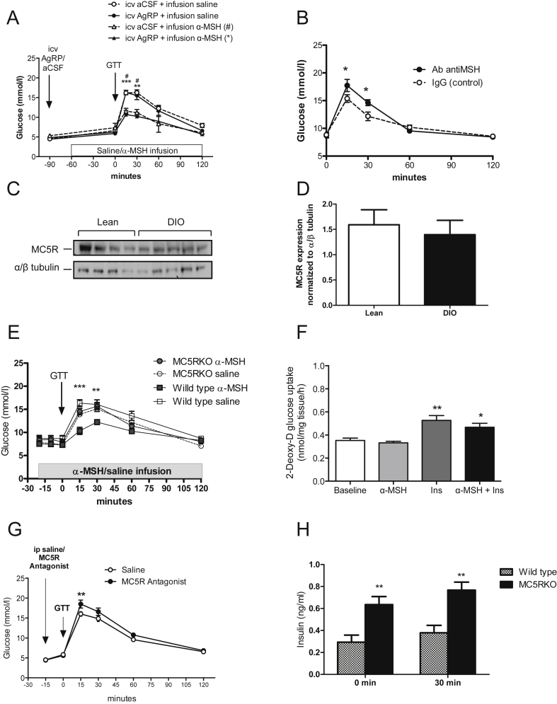 Figure 6