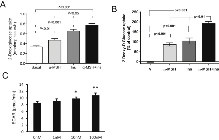 Figure 5