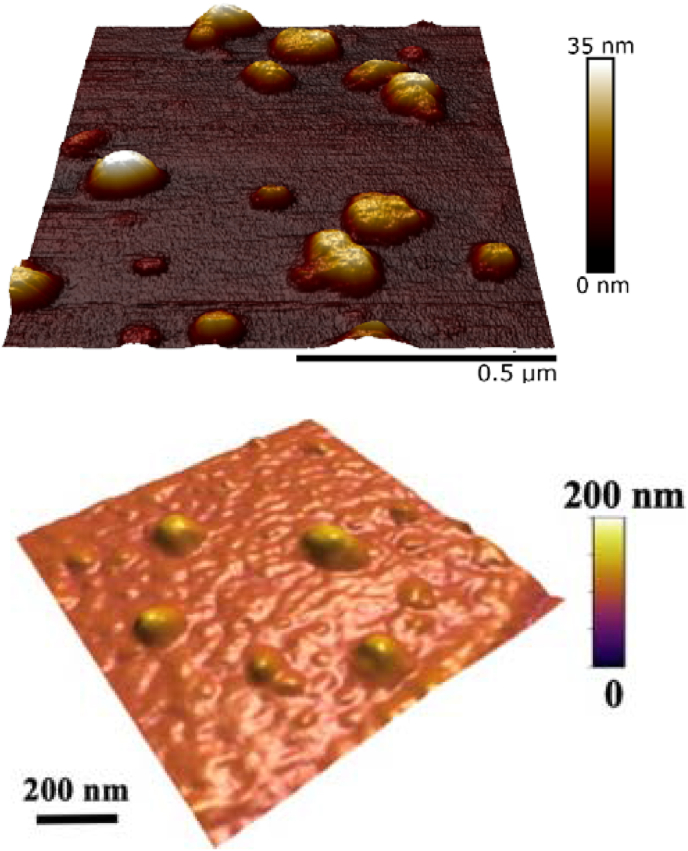 Fig. 3