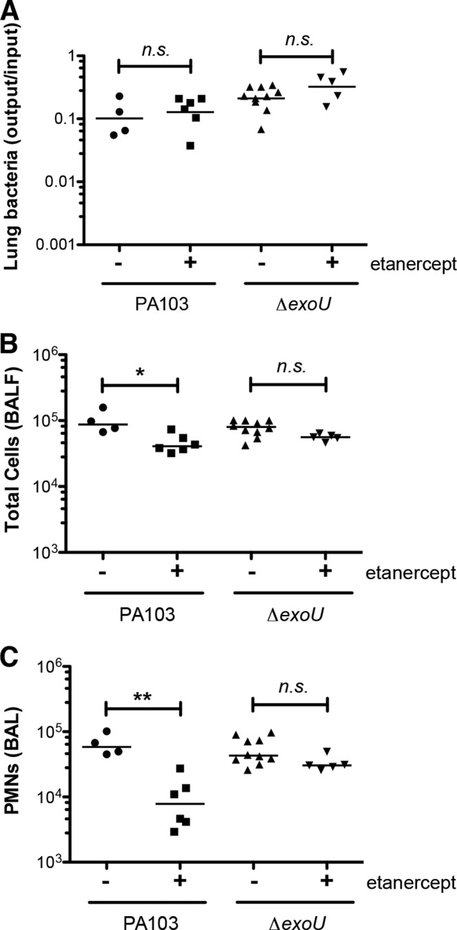 FIG 6