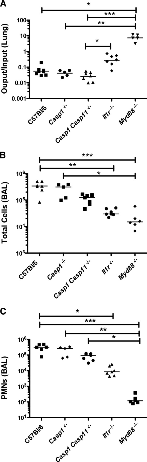 FIG 1