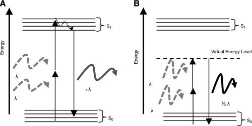 FIG. 7.