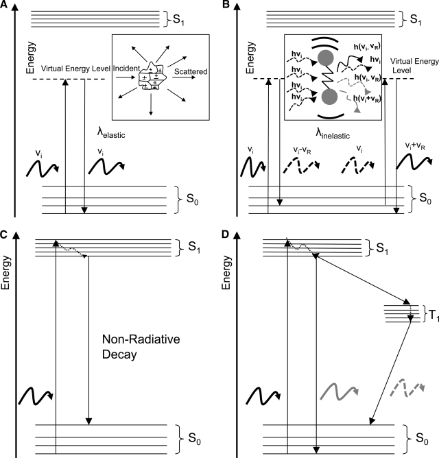 FIG. 1.