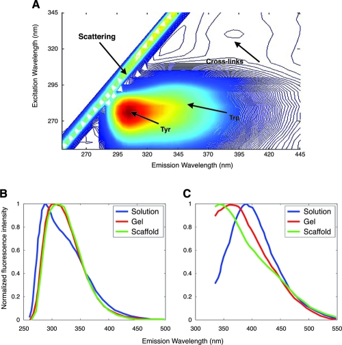 FIG. 3.