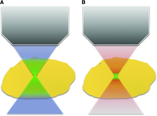 FIG. 8.