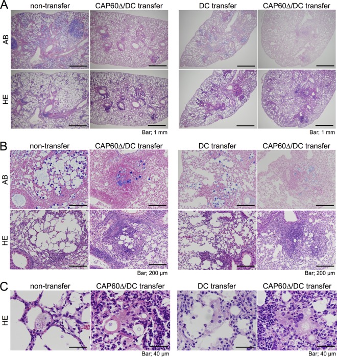 FIG 3