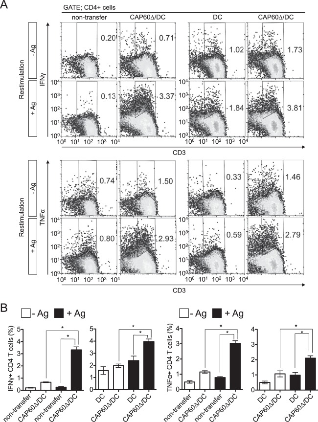 FIG 4