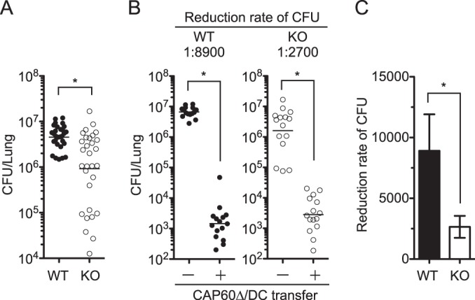 FIG 6