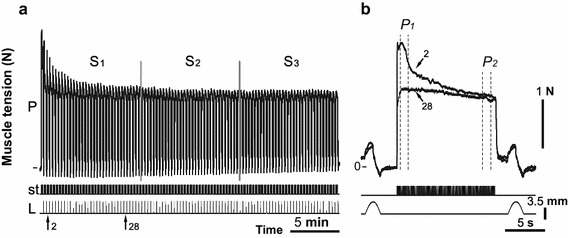 Fig. 2