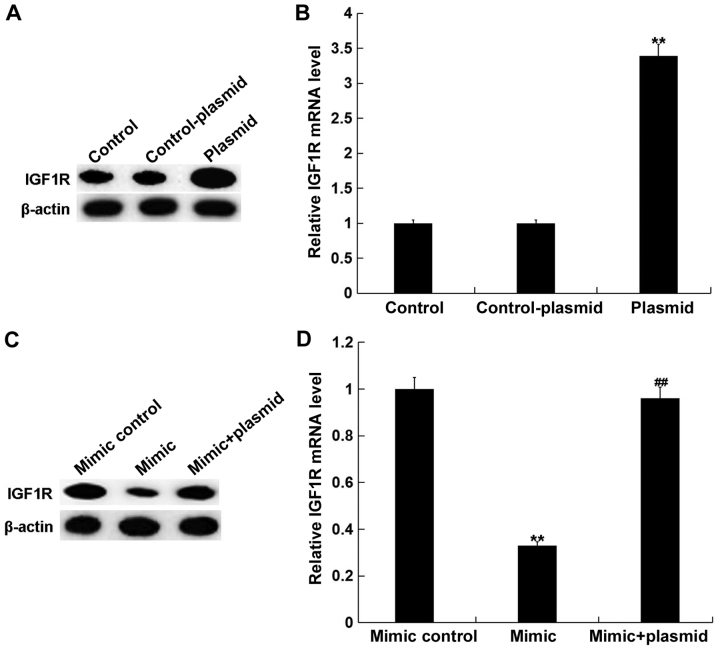 Figure 5.