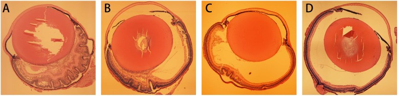 Fig. 4