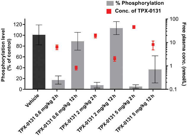 Figure 4. Pharmacokinetic/pharmacodynamic analysis of TPX-0131 in the EML4-ALK G1202R/L1196M xenograft model. Bar graph quantitates the degree of phosphorylation (Tyr1282/12833) modulation of ALK as a function of dose. The TPX-0131 unbound exposure is shown as red squares. Higher TPX-0131 exposure correlates with lower levels of ALK phosphorylation. Primary data can be found in the supplemental information (Supplementary Fig. S3).