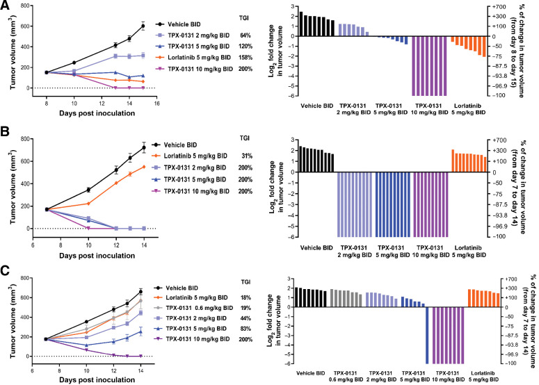 Figure 3. Evaluation of efficacy of TPX-0131 in CDX models in SCID/beige mice administered TPX-0131 via oral gavage twice daily for seven consecutive days. A, Antitumor effect of TPX-0131 on Ba/F3 cell–derived xenograft model with an EML4-ALK G1202R fusion. B, Antitumor effect of TPX-0131 on Ba/F3 cell-derived xenograft model with an EML4-ALK G1202R/L1198F fusion. C, Antitumor effect of TPX-0131 on Ba/F3 cell-derived xenograft model with an EML4-ALK G1202R/L1196M fusion. Waterfall plots for each model represents the degree of xenograft response for each mouse. BID, twice daily. It should be noted that 5 mg/kg dosing of TPX-0131 and lorlatinib in mouse models result in different unbound exposures (e.g., 12 hours postdose TPX-0131, 8 nmol/L; lorlatinib, 358 nmol/L).