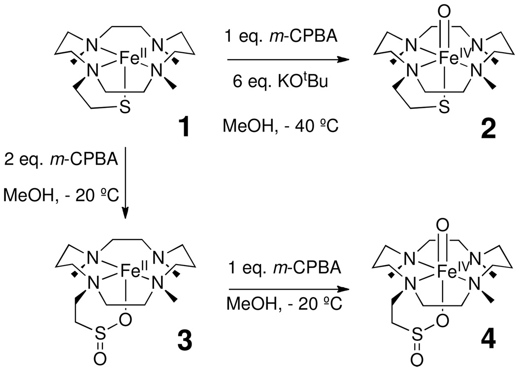 Scheme 2