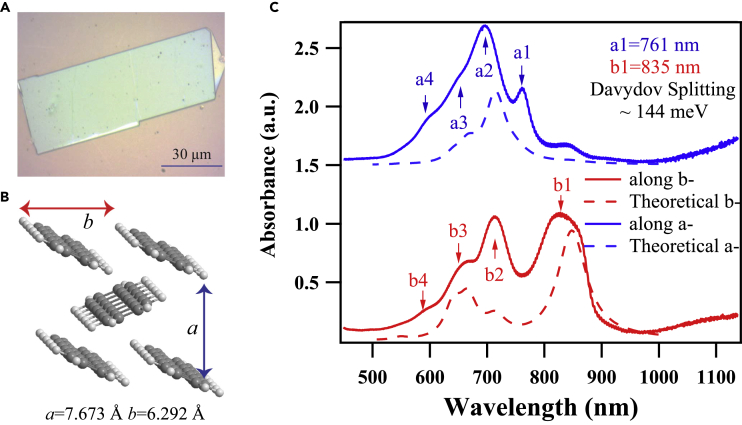 Figure 1