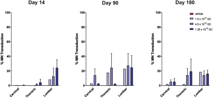 Figure 4