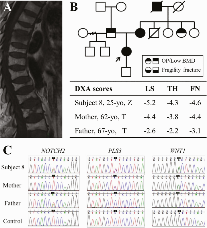 Figure 2.