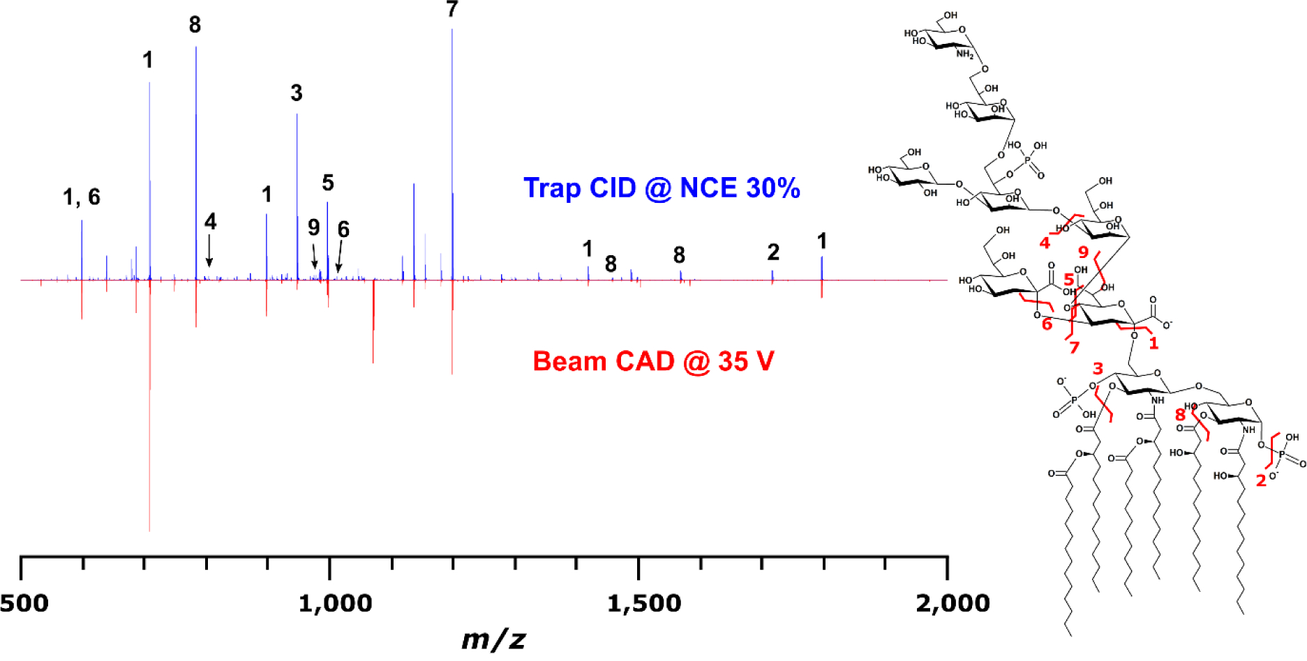 Fig. 4