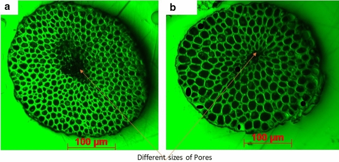 Fig. 10