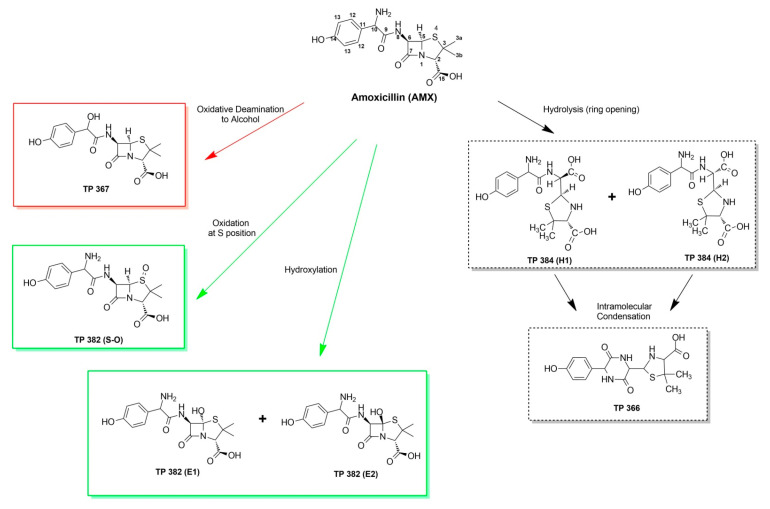 Figure 13