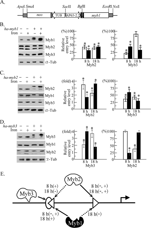 FIG. 7.