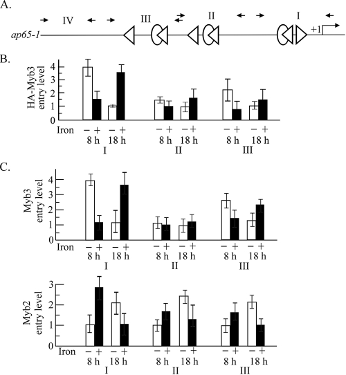 FIG. 6.