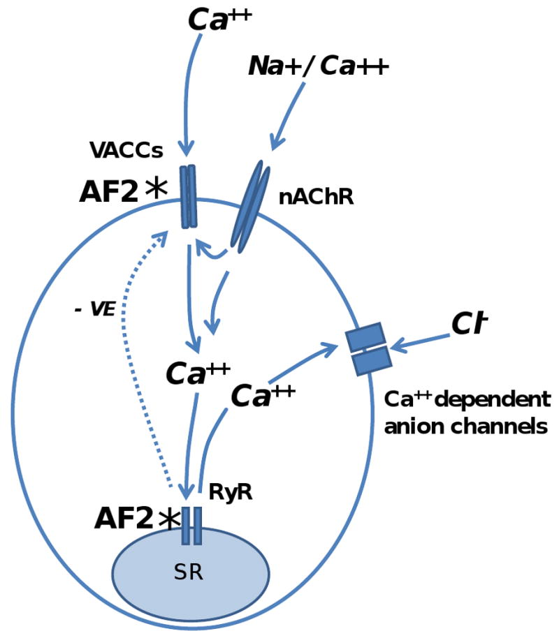 Fig. 9