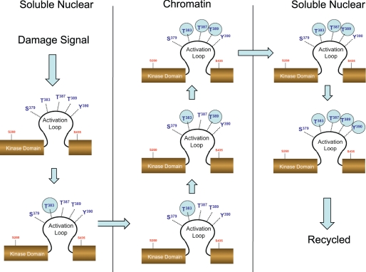 FIGURE 10.