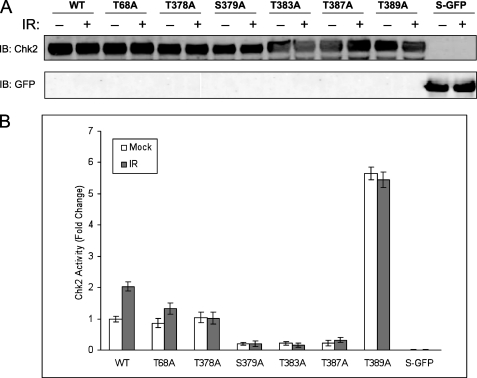 FIGURE 4.