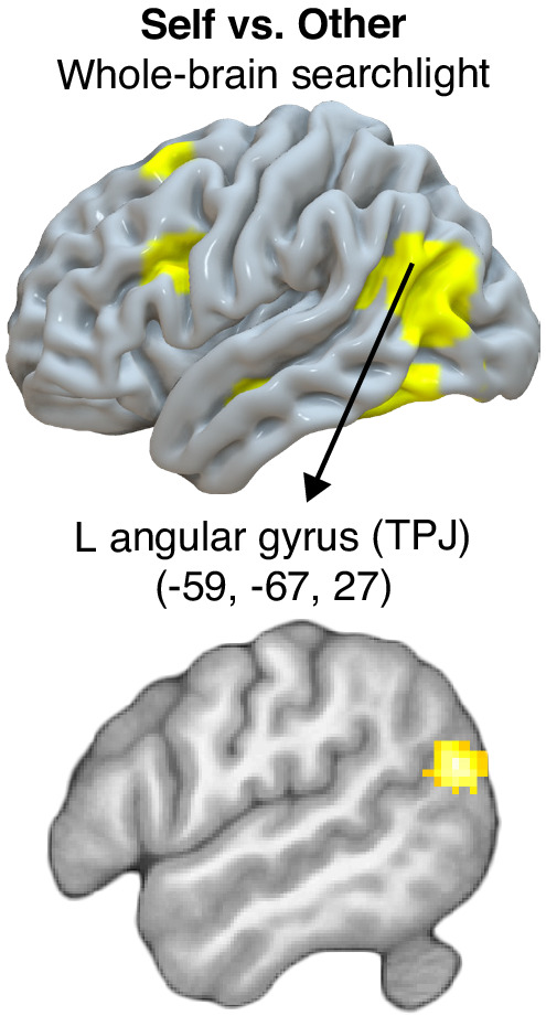 Figure 3—figure supplement 4.
