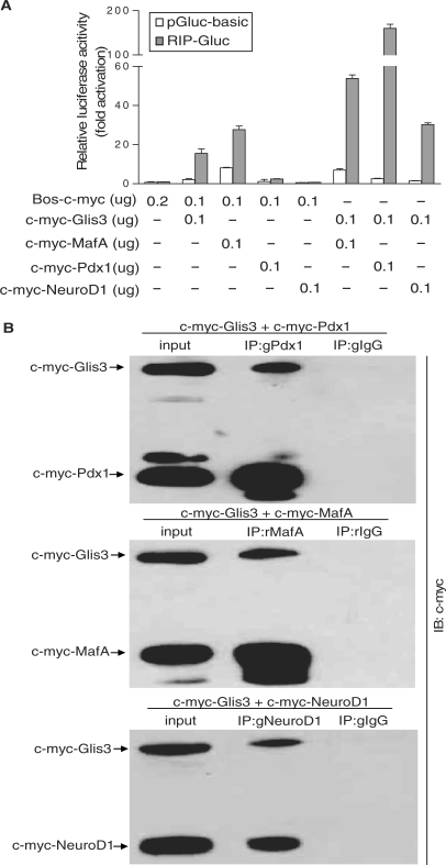 Figure 5.