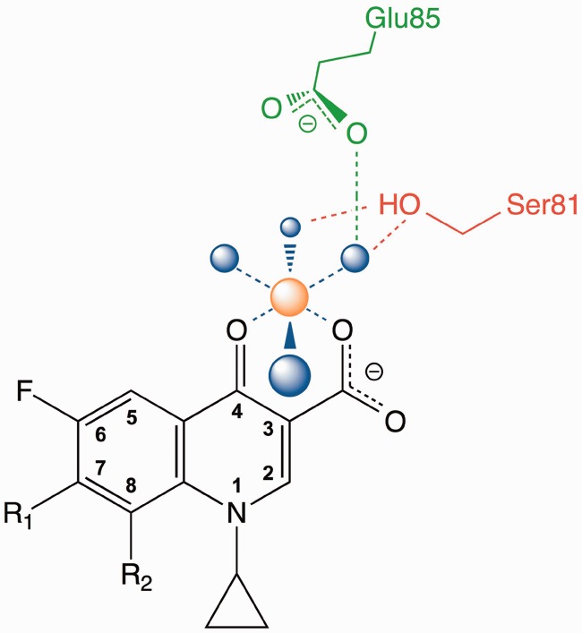 Figure 1.