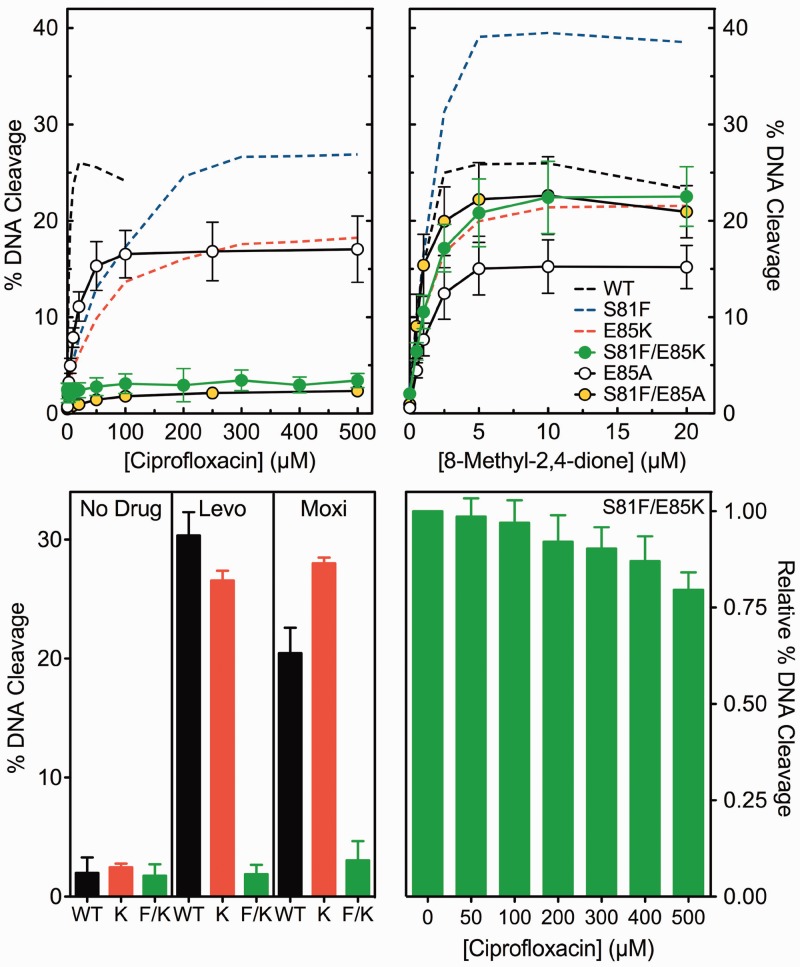 Figure 12.