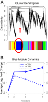 FIG 3